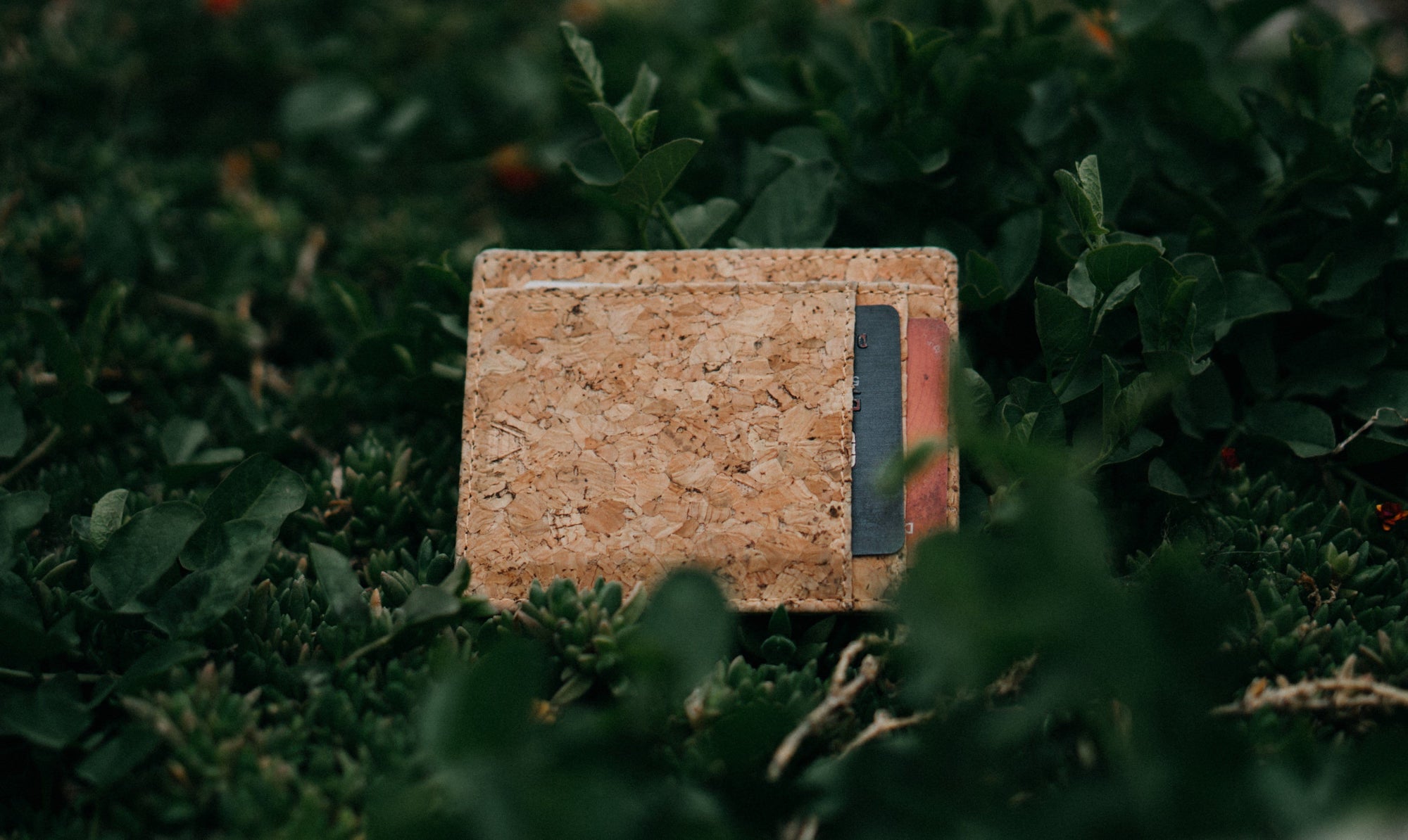 Why Cork Wallets?