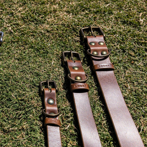 best leather dog collars 