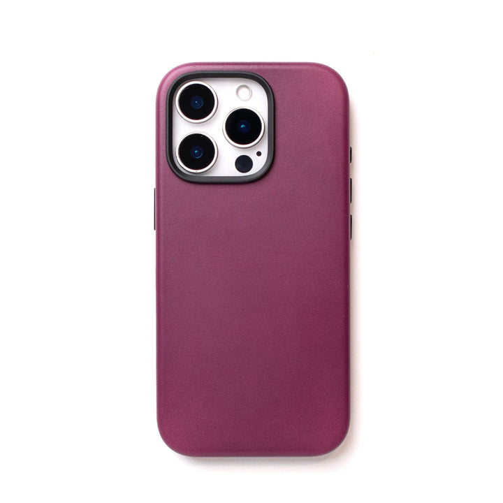 iPhone 16 Pro Max | Camera Control Button